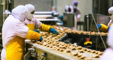 The Hidden Cost of AI-Driven Master Data Neglect in Multi-SKU Food ...